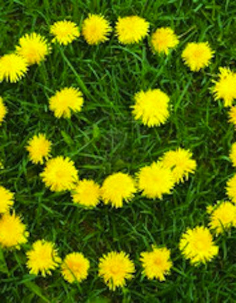 It's About Freakin' Time!