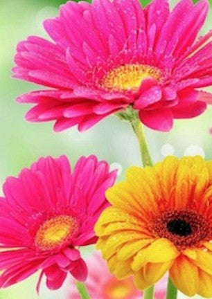 What's New, Pussycat?