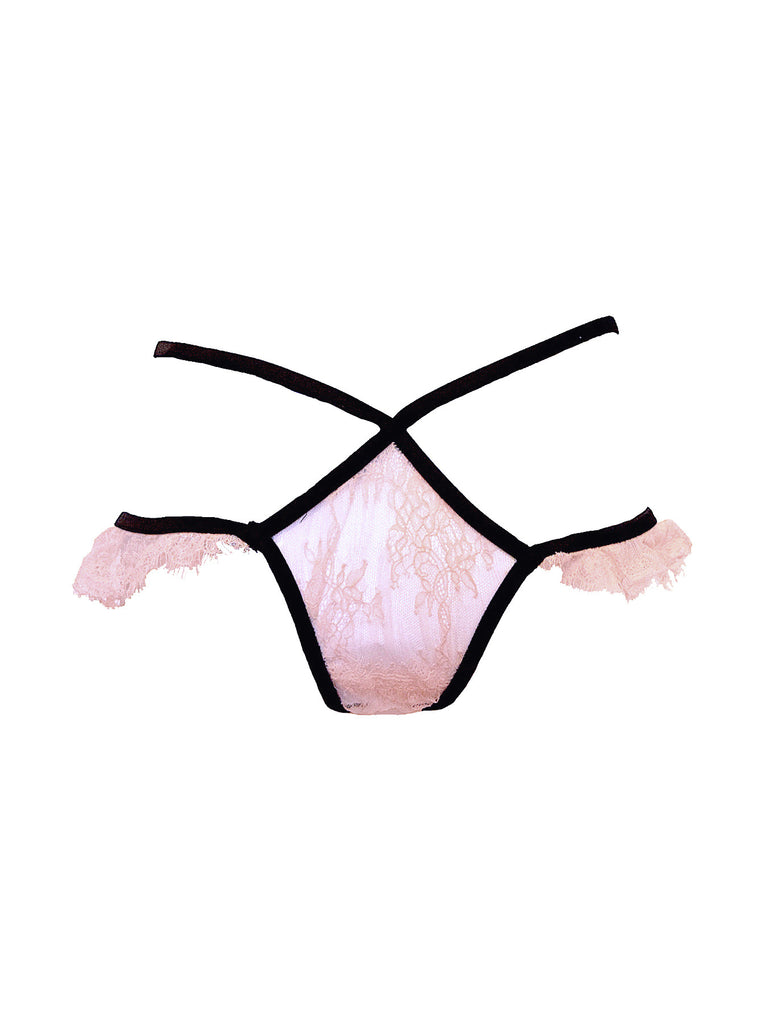 Tamara Brief